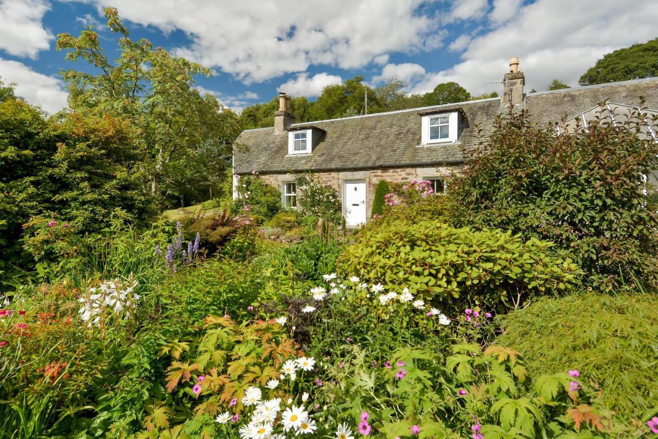 Wintergreen Pitlochry Zewnętrze zdjęcie