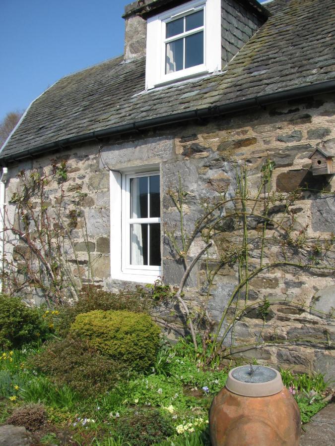 Wintergreen Pitlochry Zewnętrze zdjęcie